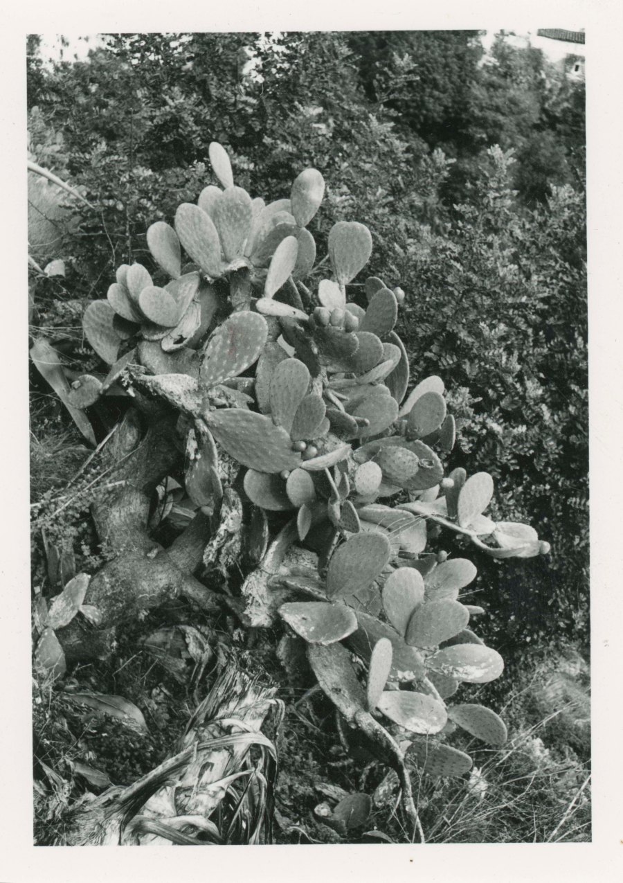 Secret Mountain | An imaginary hike (87 of 138)